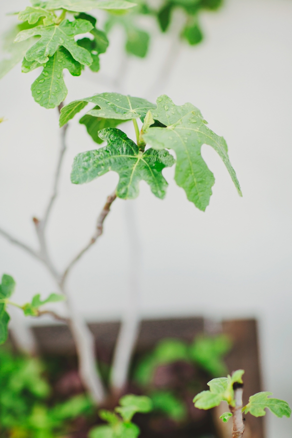 rustic-urban-wedding-ideas-at-brooklyn