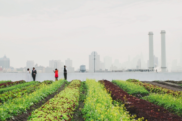 rustic-urban-wedding-ideas-at-brooklyn
