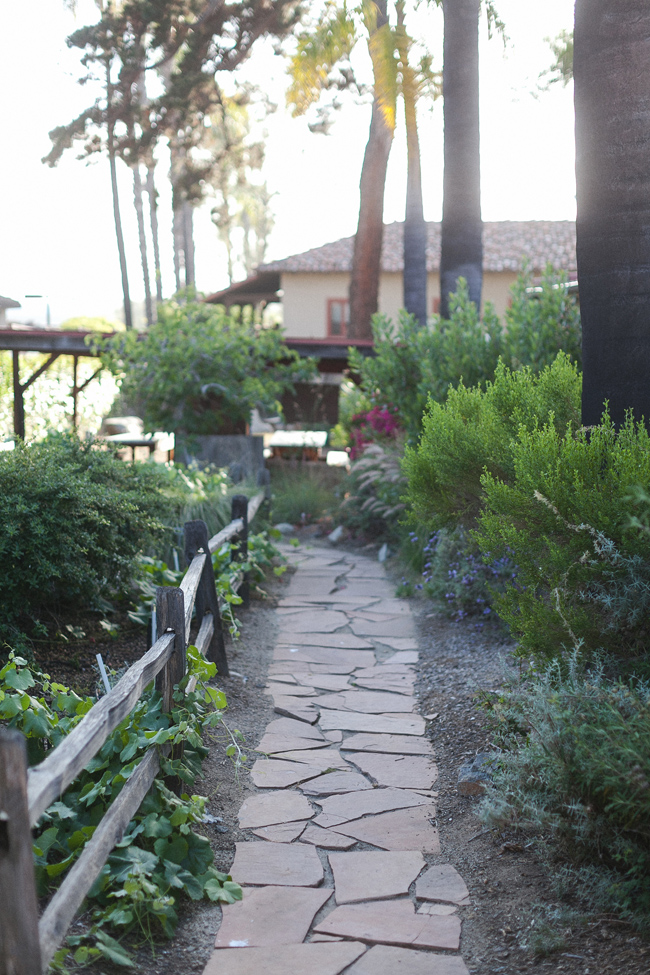 san-diego-cream-and-tan-wedding