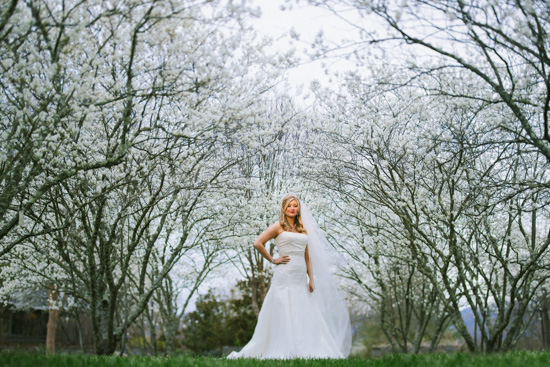 Bride in white wedding dress under blossoming trees