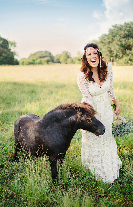 The Bird And The Bear Photography and Films
