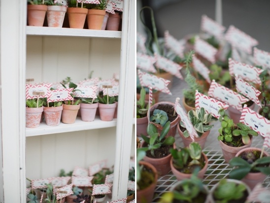 Succulents in pots with name tags wedding favors