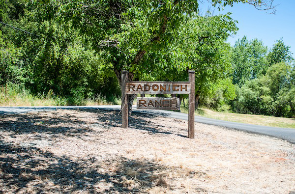 vintage-pastel-wedding-at-radonich-ranch