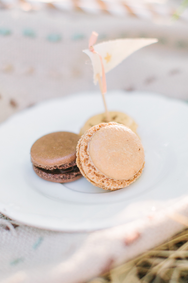 vintage-picnic-engagement-session