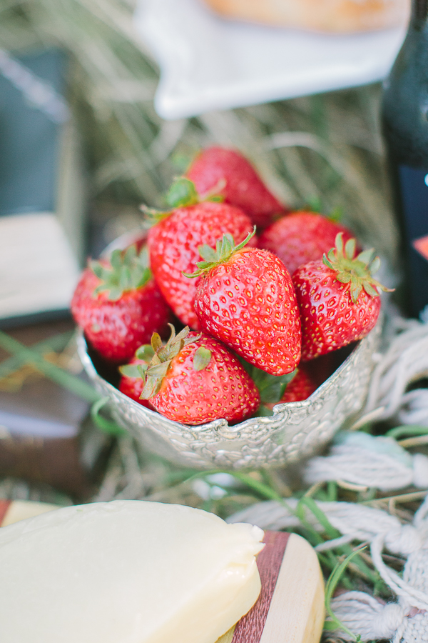 vintage-picnic-engagement-session