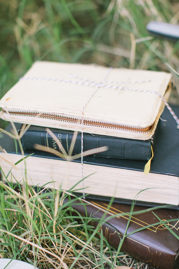 vintage-picnic-engagement-session