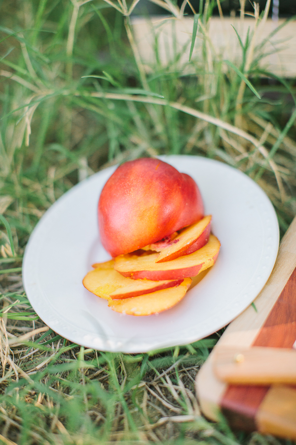 vintage-picnic-engagement-session