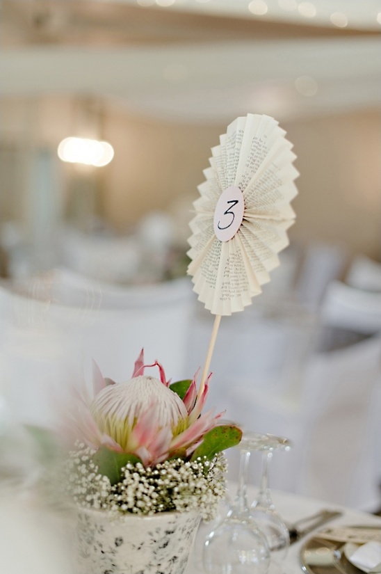 protea table numbers