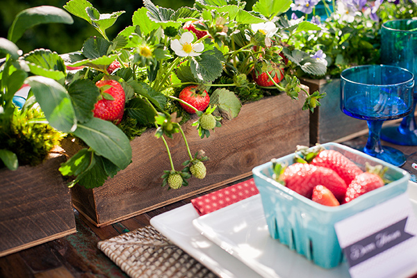 american-wedding-ideas-at-riviera