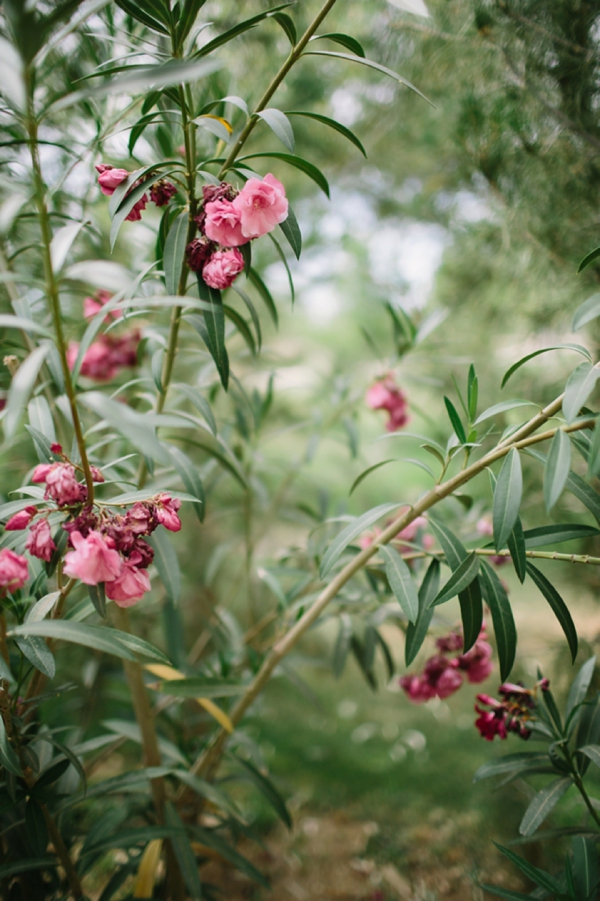 arizona-pink-and-gold-wedding