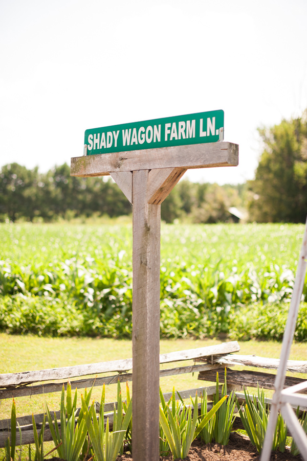 blue-and-green-country-wedding-at