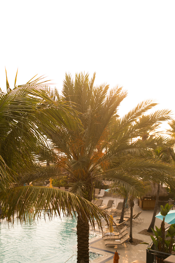 breezy-beach-wedding-in-turquoise-and