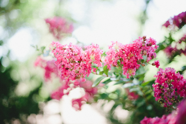 colorful-eclectic-wedding-at-chandler