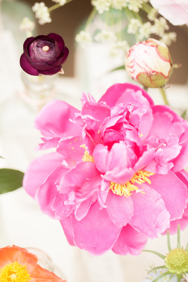 colorful-garden-wedding-ideas