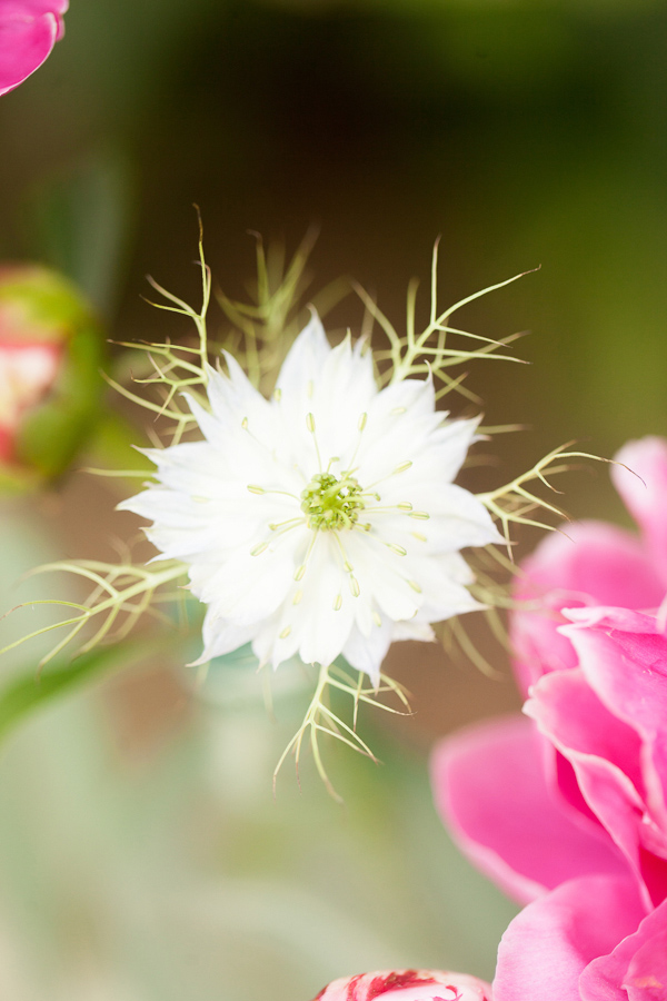 colorful-garden-wedding-ideas
