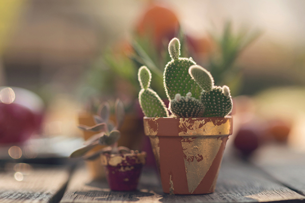 dia-de-los-muertos-wedding-inspiration