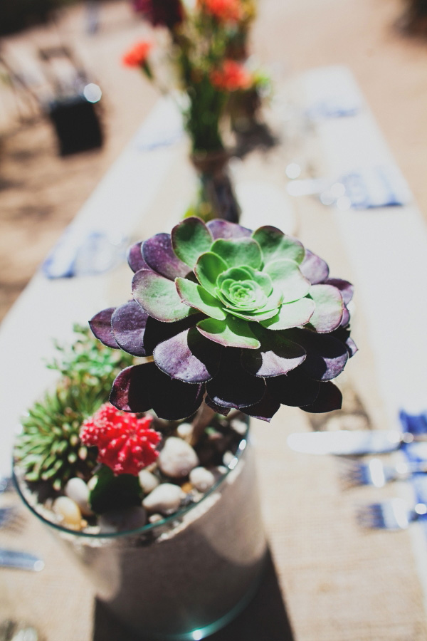 dusty-desert-wedding-at-rimrock-ranch