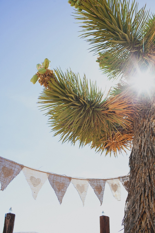 dusty-desert-wedding-at-rimrock-ranch