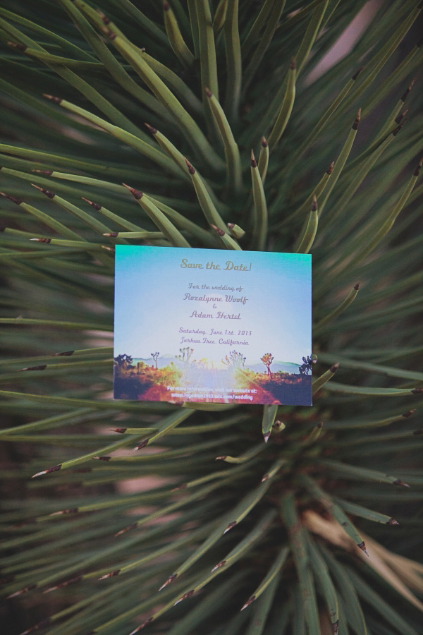 dusty-desert-wedding-at-rimrock-ranch