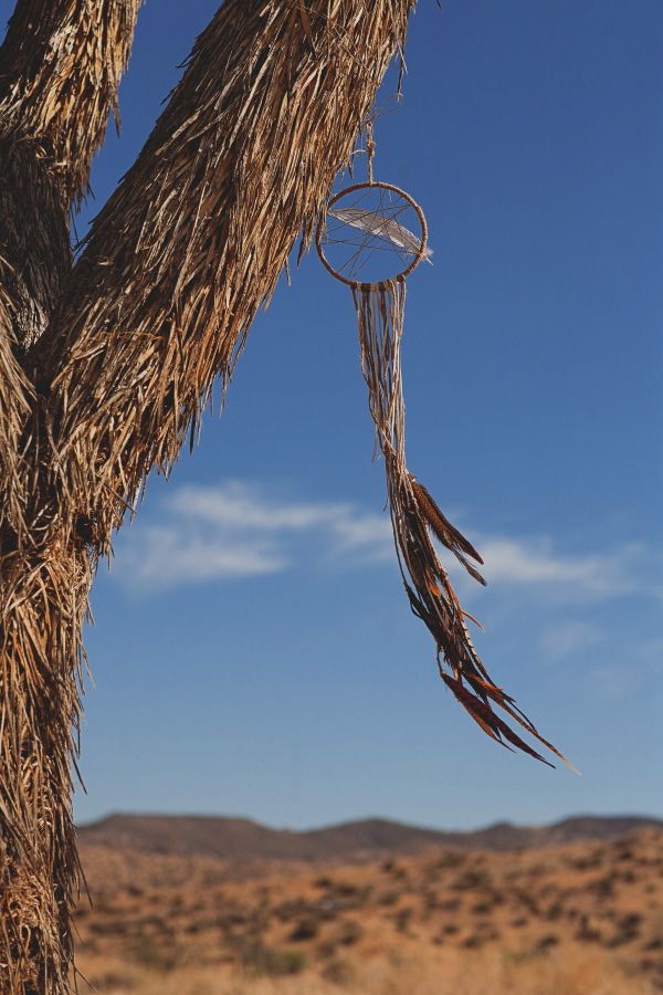dusty-desert-wedding-at-rimrock-ranch