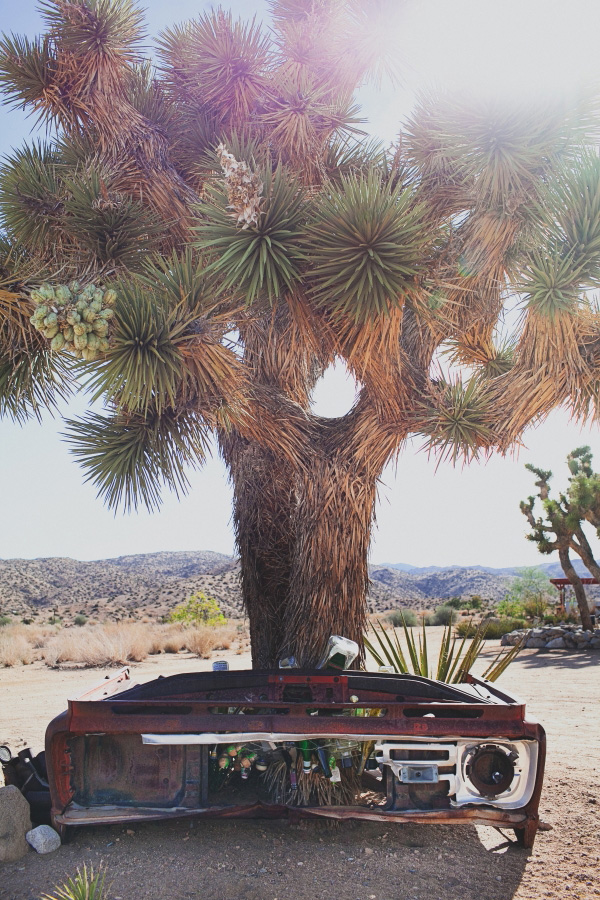 dusty-desert-wedding-at-rimrock-ranch