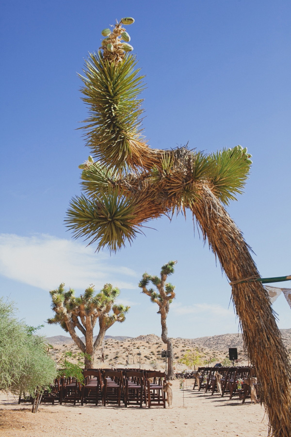 dusty-desert-wedding-at-rimrock-ranch