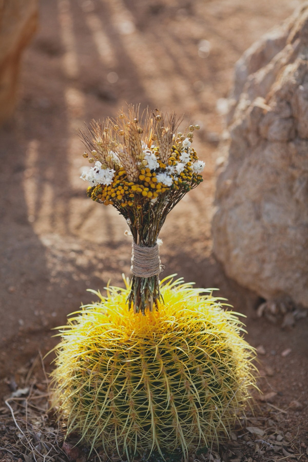 dusty-desert-wedding-at-rimrock-ranch