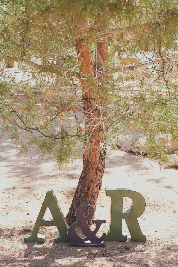 dusty-desert-wedding-at-rimrock-ranch