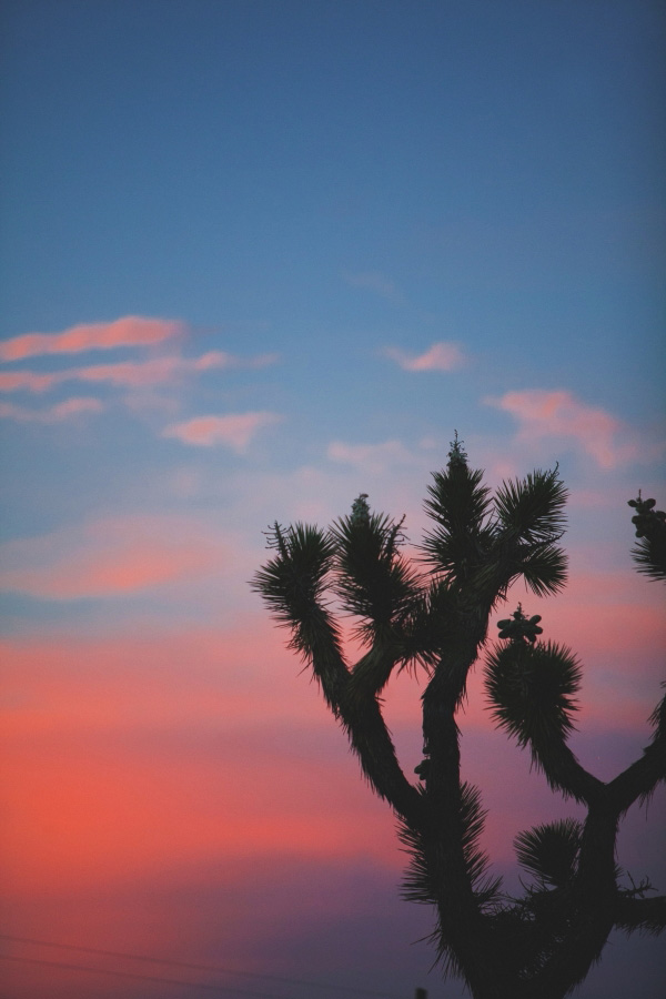 dusty-desert-wedding-at-rimrock-ranch