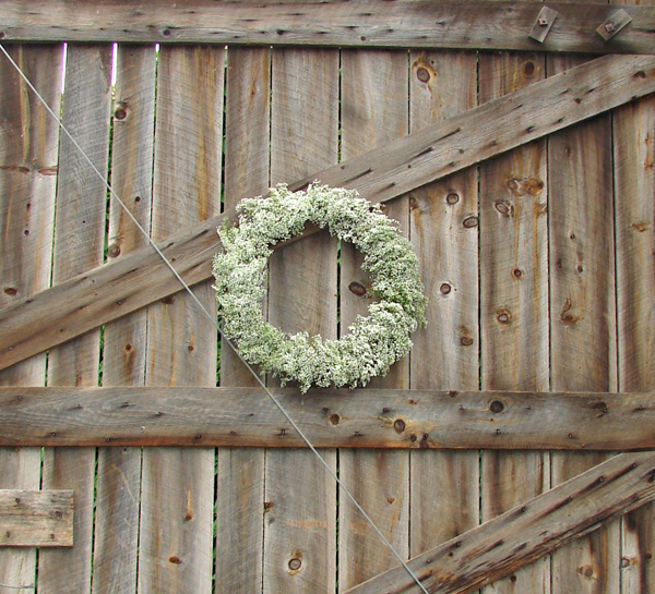 gentle-country-wedding