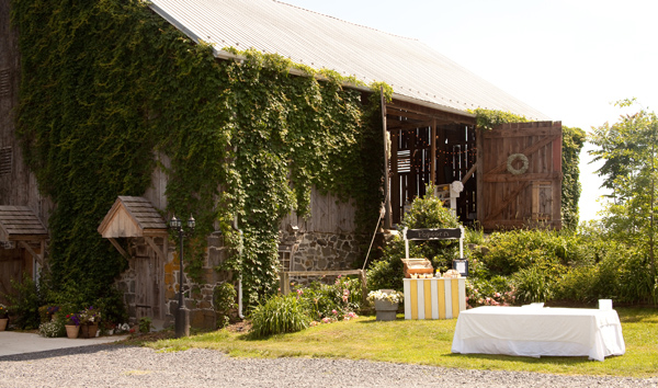 gentle-country-wedding