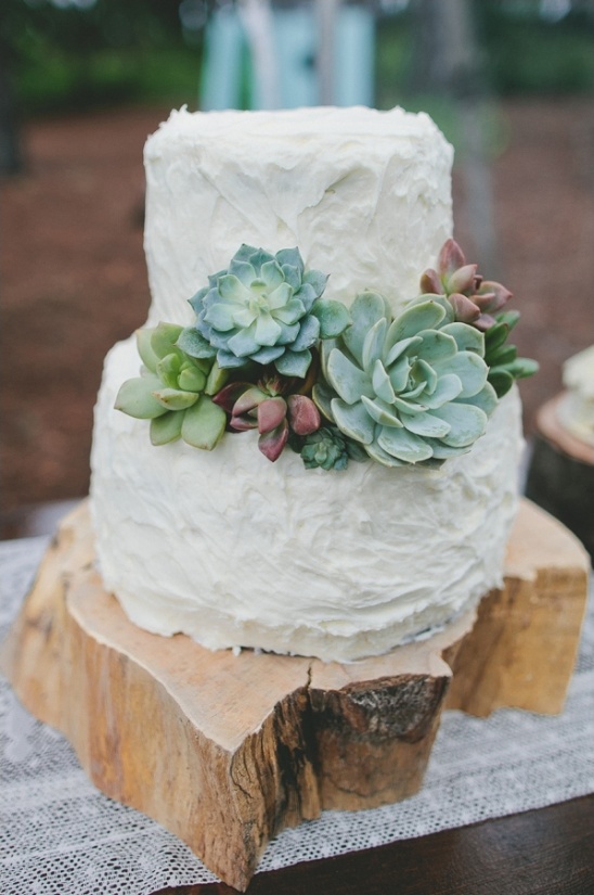simple succulent wedding cake