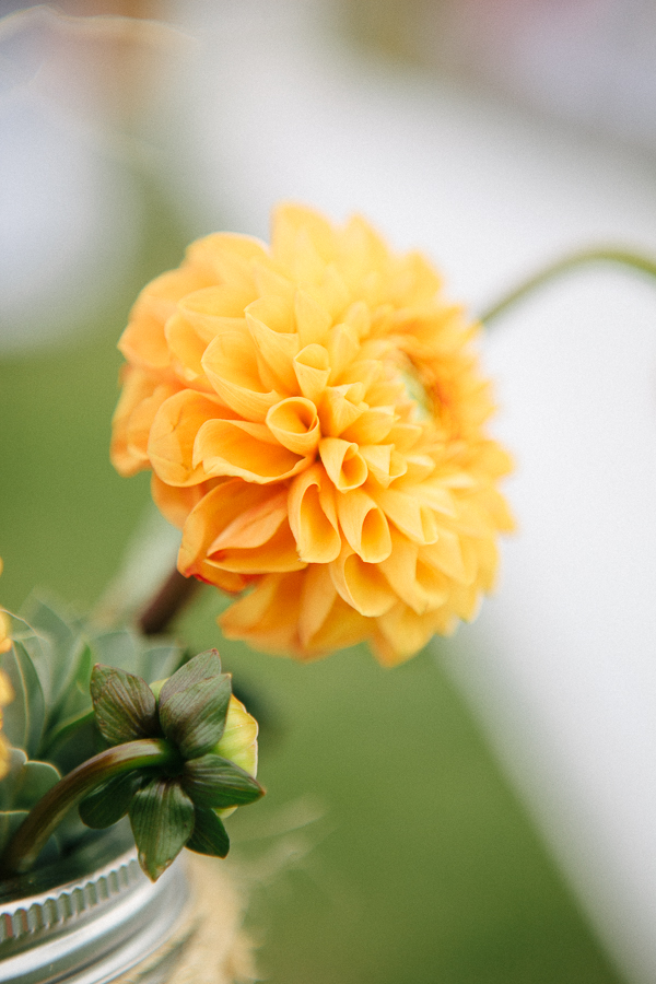 nebraska-navy-and-orange-wedding