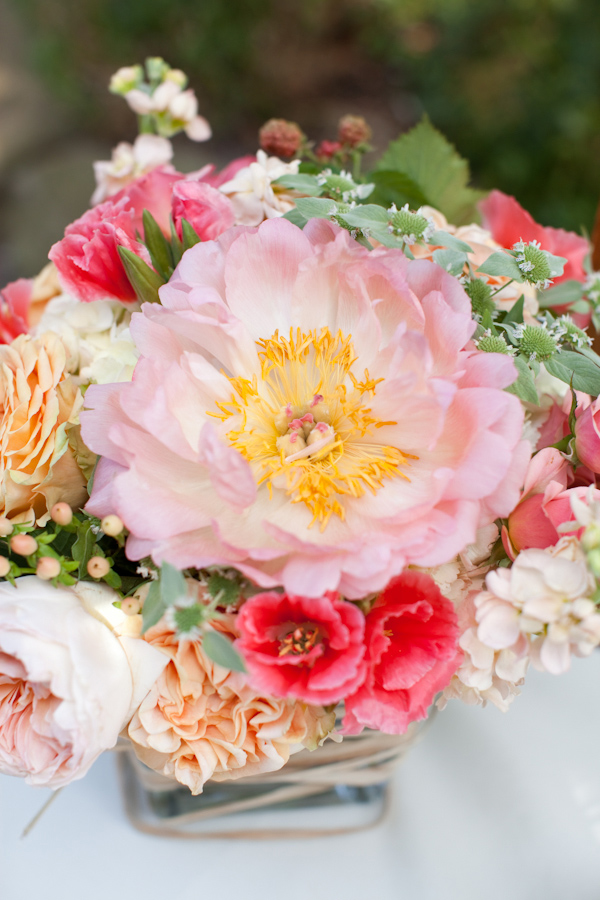 pennsylvania-peach-and-cream-garden