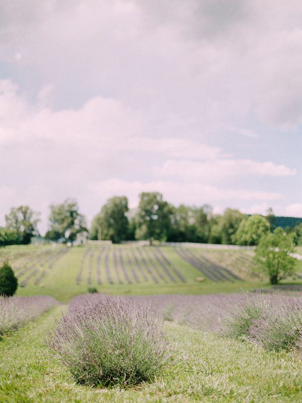 romantic-wedding-inspiration-at
