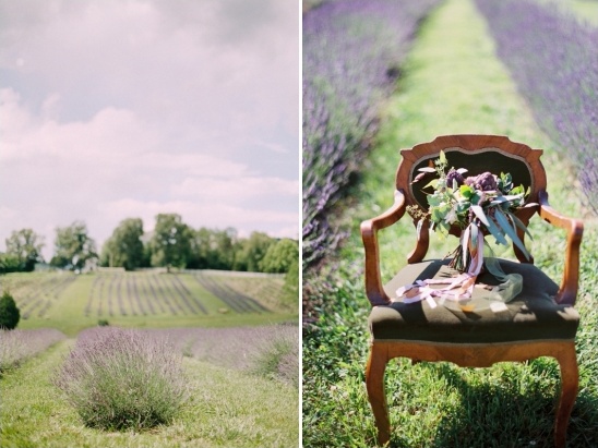 inglewood lavender farm