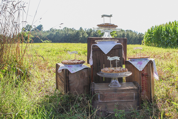 rustic-plum-and-gold-wedding-ideas