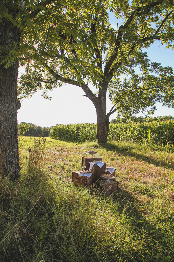 rustic-plum-and-gold-wedding-ideas