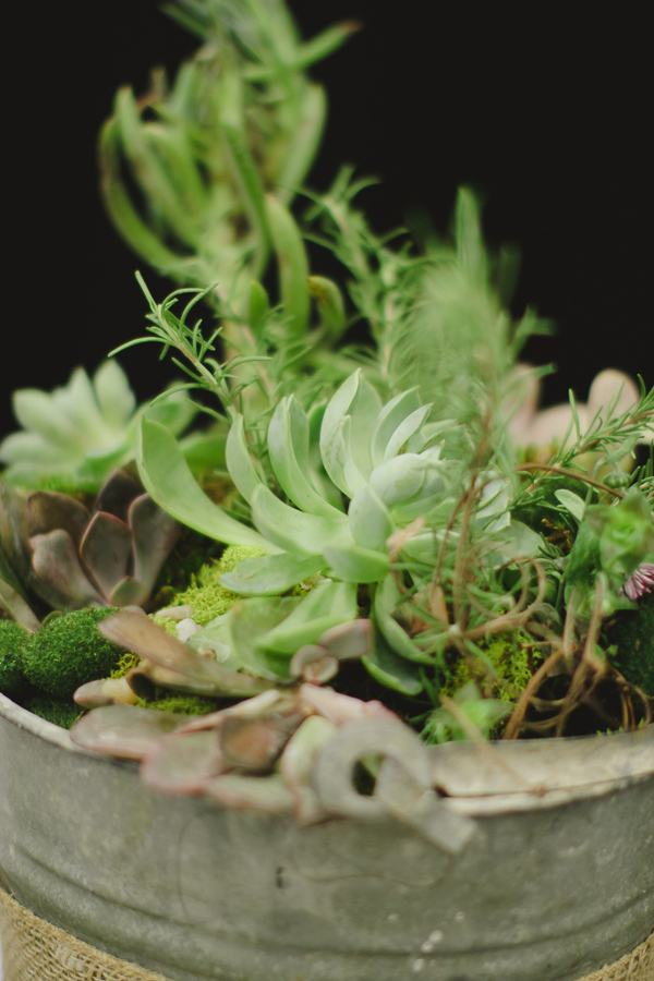 simple-succulent-wedding-under-10k