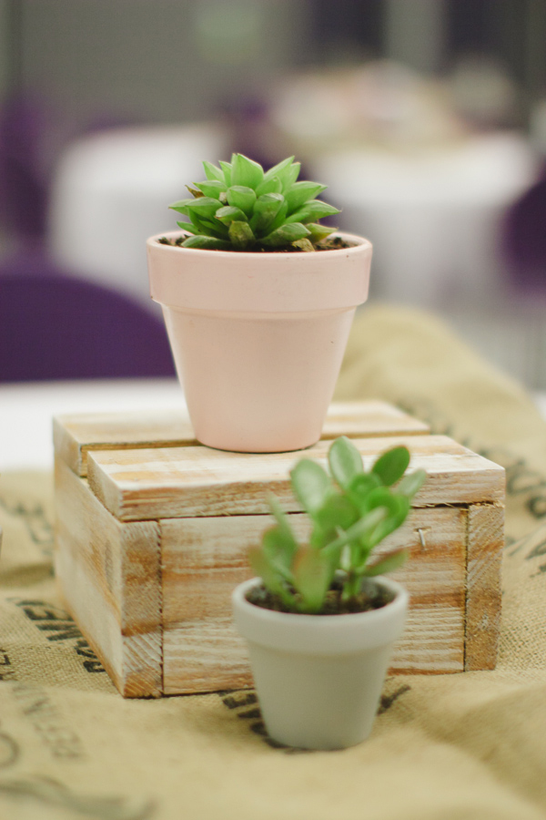 simple-succulent-wedding-under-10k
