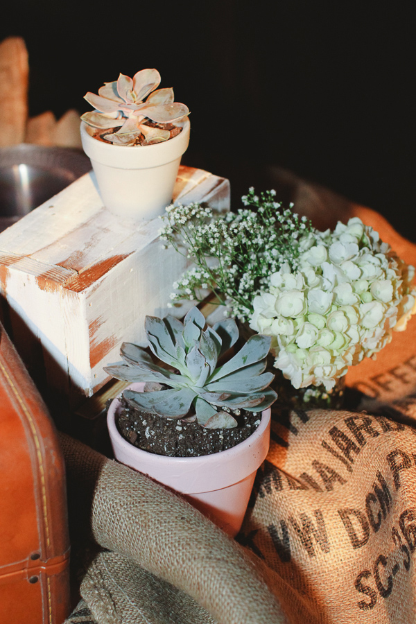 simple-succulent-wedding-under-10k