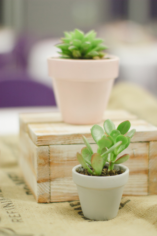 simple-succulent-wedding-under-10k