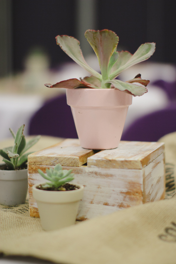 simple-succulent-wedding-under-10k