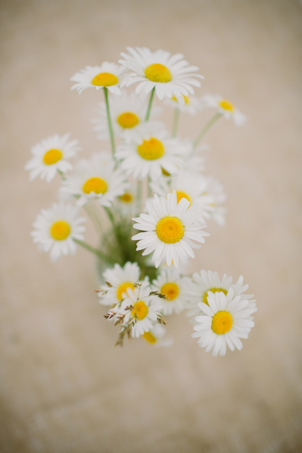 simple-sweet-wedding-in-b.c.-canada