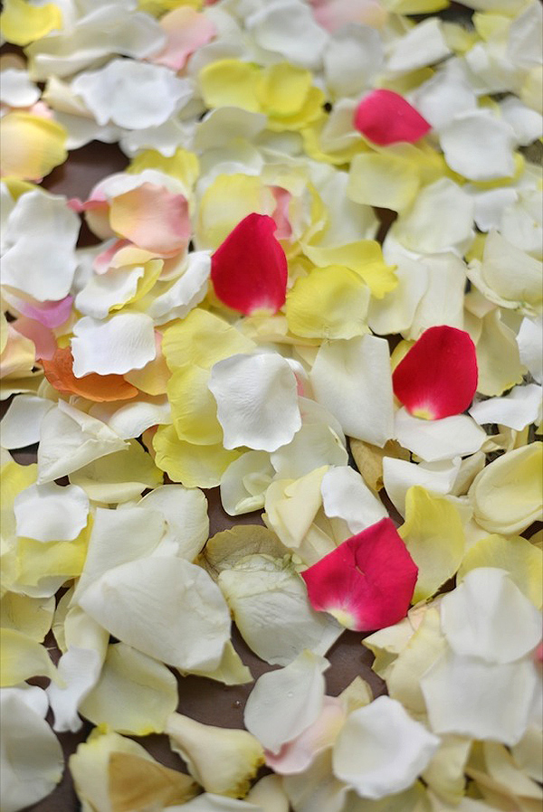 whimsical-brooklyn-garden-wedding