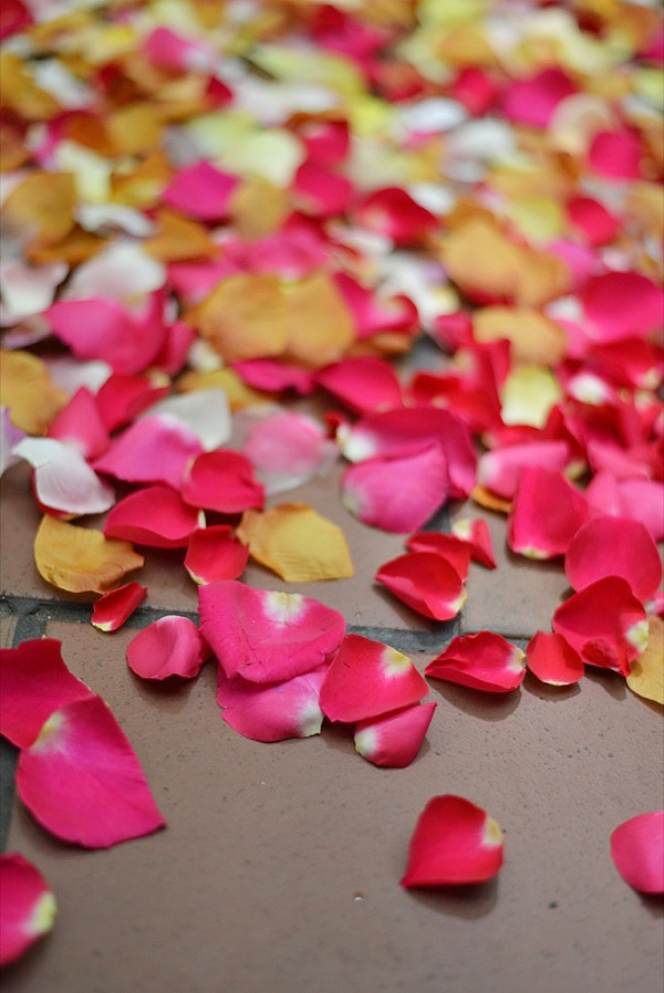 whimsical-brooklyn-garden-wedding