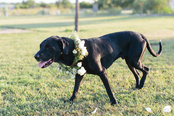 whimsical-wedding-at-le-san-michele