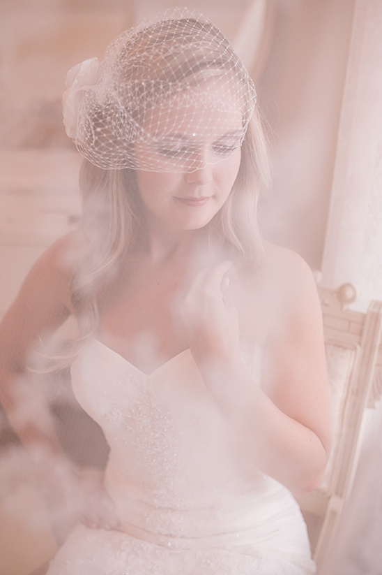 Bride wearing a veil and wedding dress in a soft, romantic setting