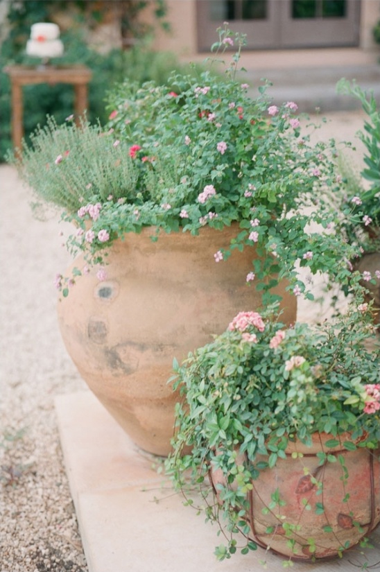 potted plants
