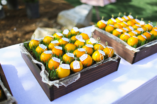 beverly-hills-backyard-wedding